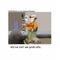 Guide Cats Funny Cat Gifts & Collectibles t-shirts