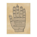 Guidonian Hand, Mediaeval Music Theory Post Cards