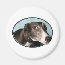 Guilty Greyhound in Oval Fridge Magnets