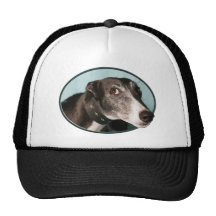 Guilty Greyhound in Oval Mesh Hats