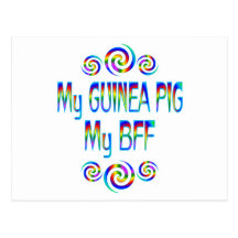 Guinea Pig BFF Post Cards