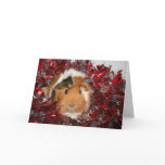 Guinea Pig Christmas Greeting Cards