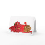 Guinea Pig Christmas mail Card