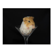 Guinea pig in a wine glass post card