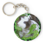Guinea pig key chain