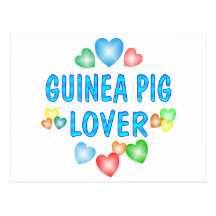 GUINEA PIG LOVER POSTCARD