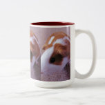 Guinea pig mug