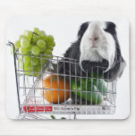 Guinea pig shopping spree mousepads