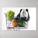 Guinea pig shopping spree posters