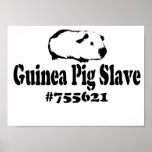Guinea Pig Slave Posters