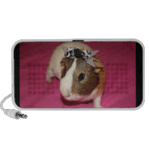 Guinea Pig With Bow 2 Speaker
