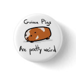 Guinea Pigs buttons