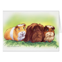Guinea Pigs Greeting Card