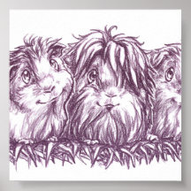 Guinea Pigs I Print