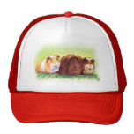 Guinea Pigs Mesh Hats