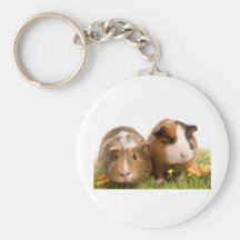 guinea pigs on a lawn porte-clés