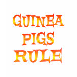 Guinea Pigs Rule t-shirts
