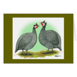 Guineas:  French Greeting Card