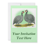 Guineas:  French Personalized Announcement