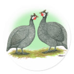 Guineas:  French Round Stickers