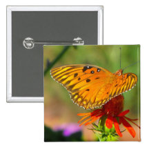 Gulf Fritillary Butterfly and Red Flower Button