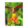 Gulf Fritillary Butterfly Front View Postcard