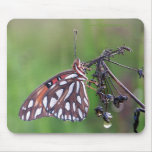 Gulf Fritillary in the Morning Dew Mouse Pad