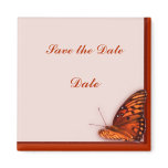 Gulf Fritillary magnets