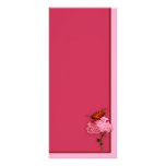 Gulf Fritillary rack cards