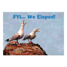 Gull Announcement We Eloped