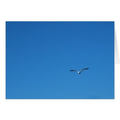 Gull Card by sumiko