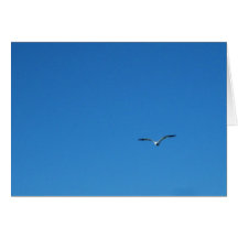 Gull Card