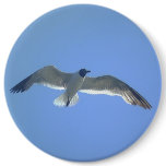 Gull in Flight Button