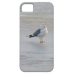 Gull on ice iPhone 5 case