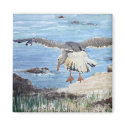 Gull on the Washington coast magnets