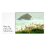 GULL ROCK, Floating along on the sea ... Picture Card