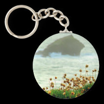 GULL ROCK keychains