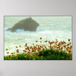 GULL ROCK posters