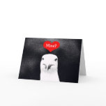 Gull Valentine "Mine?" Greeting Cards