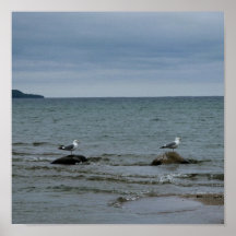 "Gullfriends" - a portrait Print