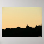 Gulls at evening Poster