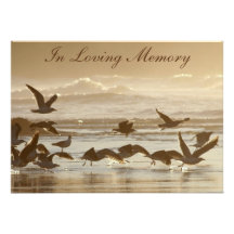 Gulls Taking Flight Memorial Service Announcement
