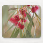 Gum Blossoms Mouse Mats