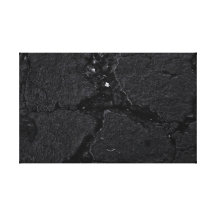 Gum Gallery Wrapped Canvas