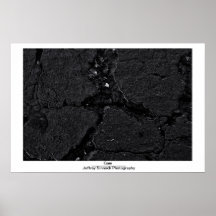 Gum Print