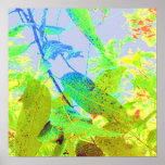 Gum Tree Dream posters