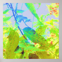 Gum Tree Dream Posters