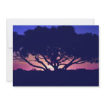 Gum tree, Outback, Australia invitations