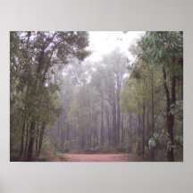 Gum Trees Posters