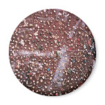 Gum Wall Refrigerator Magnets
